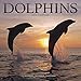 Dolphin Calendar - Ocean Calendar - Calendars 2019 - 2020 Wall Calendars - Animal Calendar - Dolphin by 
