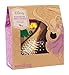Seedling Disney's Tangled Design Your Own Magical Hair Brush Activity Kit