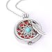 HOUSWEETY Aromatherapy Essential Oil Diffuser Necklace - Locket Pendant, 3 Colorful Pads, 23