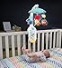 Fisher-Price Moonlight Meadow SmartConnect 2-in-1 Projection Mobile