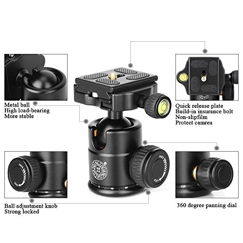 QZSD Q166A Aluminum Alloy Tripod 21.6 Inch Desktop Light Weight Monopod with Ball Head 1/4 Quick Release Plate for DSLR Camera