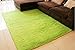 ACTCUT Super Soft Indoor Modern Shag Area Rugs Fluffy Beding Room Shaggy Carpets Dining Living Room Nursery Rug 2.5 x 5 Feet, Green