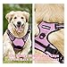 Rabbitgoo Dog Harness No-Pull Pet Harness Adjustable Outdoor Pet Vest Reflective Vest Harness for Large Dogs (Pink, L)