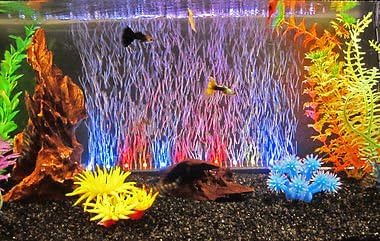 Colourful Aquarium Aquarium Waterproof Led Lamp With Air Stone