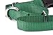 GOGO Pet Products 1-Inch Martingale Dog Collar, Large, Hunter Green