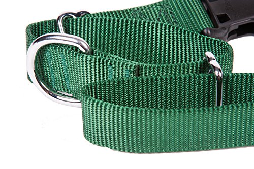 GoGo Pet Products GoGo 3/4-Inch Martingale Dog Collar, Medium, Hunter Green