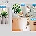 KChoies 20 Pack Four-leaf Shaped Adhesive Sticky Hooks(13.2lb/6kg), Heavy Duty Waterproof Oilproof Reusable Seamless Nail Free Bathroom Kitchen Wall & Ceiling Hooks, Transparent