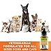 Hemp Oil for Dogs and Cats - 1000mg - Premium Hemp Extract - Advanced Formula - Grown & Made in USA - Omega 3, 6 & 9 - Supports Hip & Joint Health, Natural Relief for Pain, Separation Anxiety