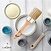 Pro 6 Chalked Brush Set for Artist - Waxing,Milk Paint, Brush Set - Premium Thick Natural Boar Bristles Hair - Furniture Paint Brushes - Sanding Pad & Bristle Remover Included - by LoGest