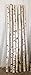 Wilson White Birch Poles 3 ft Long x 1.5-2 inch Diameter (4 Poles)