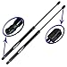 Two Rear Hatch Liftgate Gas Charged Lift Supports For 05-14 Nissan Armada, 04 Nissan Pathfinder Armada, 04-10 Infiniti QX56 With Power Liftgates. Left and Right Side. WGS-228-2