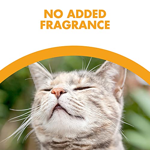 feline pine platinum