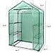 Ohuhu Small Walk-in Plants Greenhouse, 3-Tier 6-Shelf Stands Garden Green House, 56.3