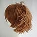 Alacos Unisex Cosplay Short Straight Hair Wig Girl Boy Anime Con Party Dress Wigs Brown Wig+ Free Wig Cap