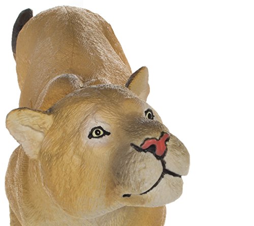 Wildlife Wonders: Puma concolor