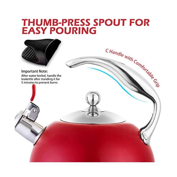 Tea Kettle Best 3 Liter induction Modern Stainless Steel Surgical