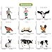 Volnau Farm Animal Toys Figurines 14PCS Barn Figures for Toddlers Kids Preschool Educational Cow Sheep Cock Hen Dog Pig Sets Christmas Decoration Gift