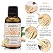 New Natural Plant Lymphatic Drainage Ginger Oils,Drainage Ginger Oils,Natural Anti Aging Oil Body Massage Pure Natural 30ml
