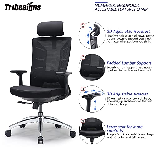 Ergonomic Office Chair, High Back Desk Chair with Adjustable Lumbar