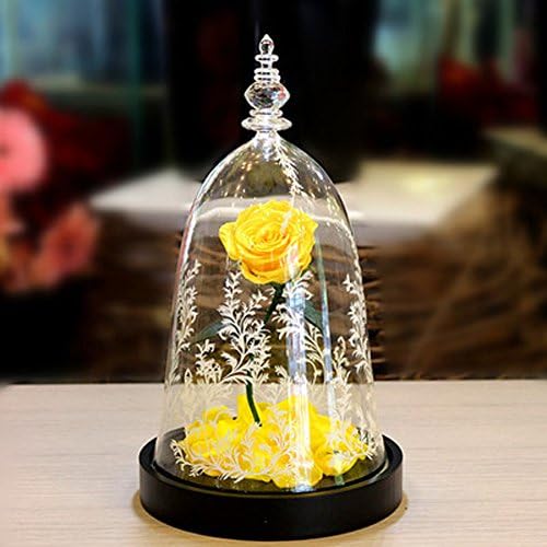 Preserved Fresh BEAUTY and BEAST Rose with 7Colors Changing LED Light and Print Flower Pattern Glass Dome Wooden Base Valentine‘s Day Mothers Day Christmas Marriage Anniversary Gifts (Yellow)