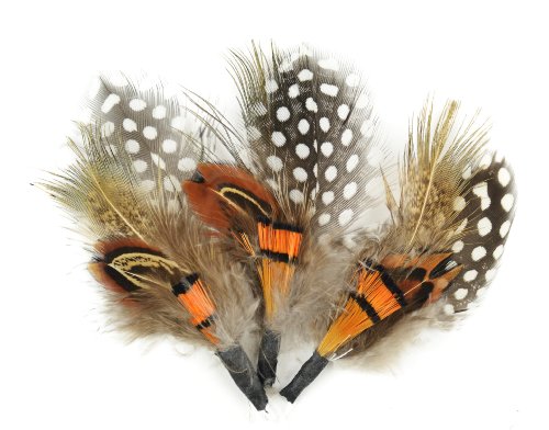 Touch of Nature 38108 3-Piece Natural Feather Pick with Nylon Loop for Arts and Crafts, 3.5-Inch, Guinea/Orange
