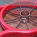[Large Size], Newness Premium Apple Slicer Corer, Cutter, Divider, Wedger, Stainless Steel with 8 Sharp Serrated Blade, Ergonomic Grip Handle and Plastic Base