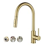 Havin Gold Kitchen Faucet with Pull Down