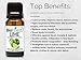 BioFinest Lime Oil - 100% Pure Lime Essential Oil - Protection Against Colds, Flu, Sore Throat - Premium Quality - Therapeutic Grade - Best For Aromatherapy - FREE E-Book (10ml)
