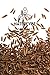 Cumin Seed Powder by Naturevibe botanicals, 1 lb (Cuminum cyminum L.) | Raw | Adds Flavor and Taste (16 Ounces)[Packaging May Vary]