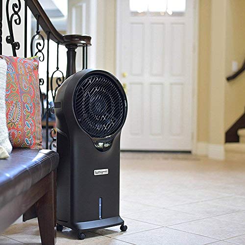 Luma Comfort Portable Evaporative Air Cooler with Fan & Humidifier, Indoor Tower Fan, EC111B