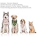 Travel Bus Stuffless Dog Toys- Tough Squirrel Dog Squeaky Toys No Stuffing Crinkle Dog Toy with Rope Knots for Small Dogs Puppy Chew Toys (Christmas Bandana)