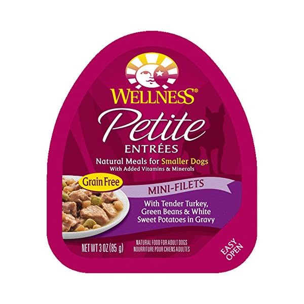 Wellness Petite Entrees Mini Filets Grain Free Natural Wet ...