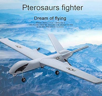 z51 predator rc plane