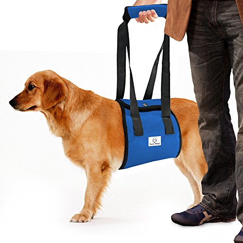 Dog Lift Harness Sling Large ACL Brace Rear Leg Support Handicapped Pet