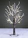 Lightshare™ UPDATE 24L LED Bonsai Snow Tree,+Free Gift:8L LED Poinsettia Artificial Decoration Light,Home/Festival/Party/Christmas,Indoor and Outdoor Use,Warm White