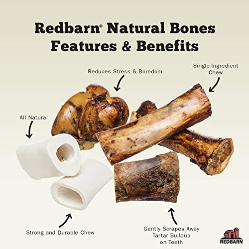 Redbarn White Knuckle Bones for Dogs. AllNatural Beef Femur Bone
