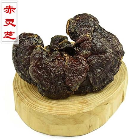 Tomox Changbai Mountain wild Ganoderma lucidum medicinal Ganoderma lucidum in 500 grams post pruning