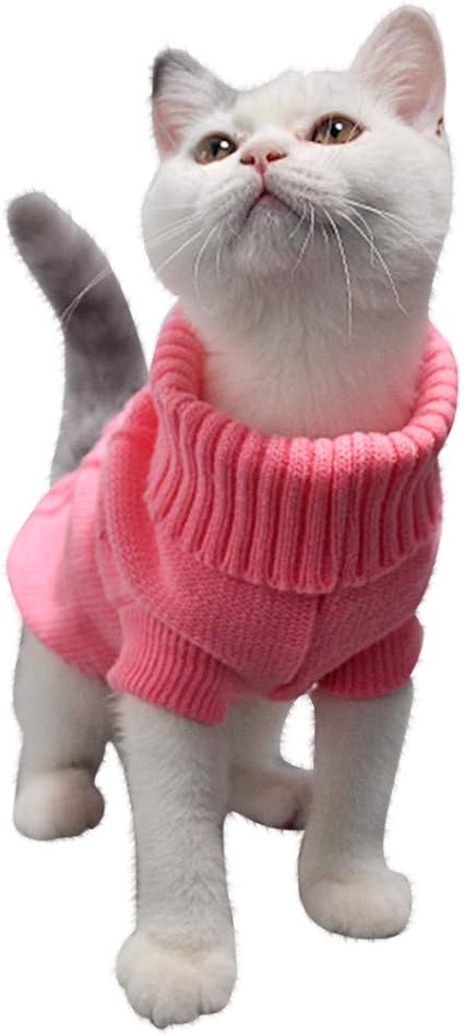 Armeggiare Perlaceo Caricare Maglioncino Per Gatto Amazon Agingtheafricanlion Org