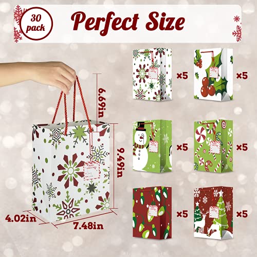 30PCS Christmas Gift Bags with Tags Assorted Holiday Xmas Party