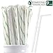 Webake Plant Base Straws, 200 Pack 9 Inch Individually Wrapped Straws, Compostable Straws Flexiable Eco Straw, PLA Drinking Straws for Tumbler Water Bottle