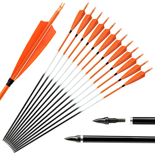 Archery sharly 31" Carbon Hunting Targeting Arrows with 5" Orange Feather Fletching for Traditional Recurve and Long Bow (12 Pack)