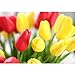 AHXHWKA 30 pcs Real-Touch Artificial Tulip Flowers Home Wedding Party Decor