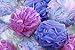 Loofah Bath Sponge XL 75g Set of 4 Pastel Colors by À La Paix - Soft Exfoliating Shower Lufa for Silky Skin - Long-Handle Mesh Body Poufs- Women and Men’s Luffas - Soft Texture - Full Cleanse & Lather