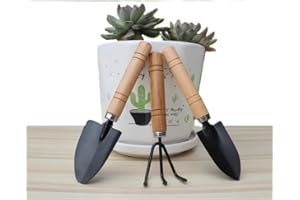 Mini Garden Tools Set – 3-Piece Indoor Gardening Kit Includes Small Trowel, Hand Rake & Shovel, Compact Plant Tool Set for Po