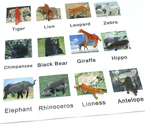 MEROCO Montessori Animal Match Cards - Forest Animal , Montessori Materials Preschool Infant Toddlers Toys for 3 4 5 6 Year Olds, Montessori Language Materials TZX104