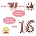 OUGOLD 16th birthday decorations for girls, Sweet 16 Cake Toppers, Rose Gold decoration, 16 tiara and sash with 2 Rose gold Curtains, Balloons, Happy birthday Balloon, Mylar balloon & Garland