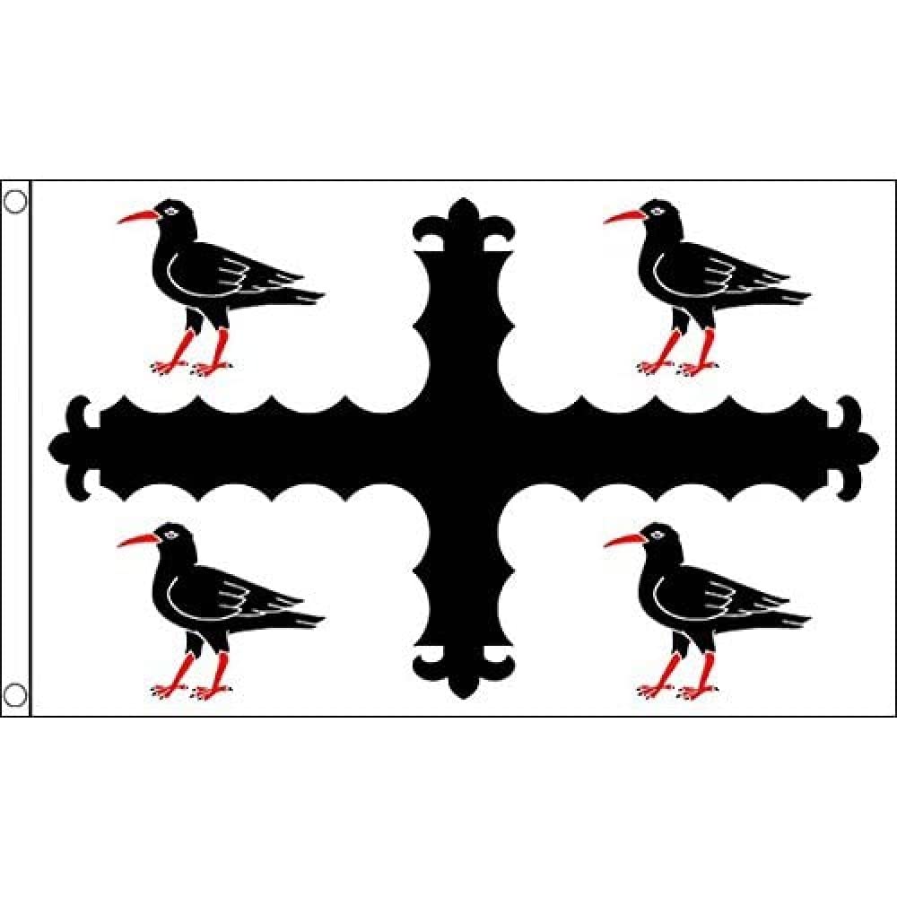 AZ FLAG - Flintshire County Flag - 3x5 Ft - 100D Polyester Wales Flintshire County Banner with Two Metal Grommets - Fade Resistant - Vivid Colors - 3' x 5' Feet - 150x90 Cm