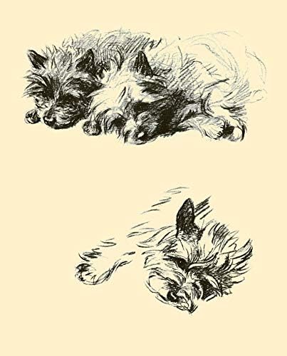 Amazon Lucy Dawson 1944年ポスタープリント 犬のイラスト本 犬の絵画 Lucy Dawson作 犬のイラスト入り アートフレーム ポスター オンライン通販