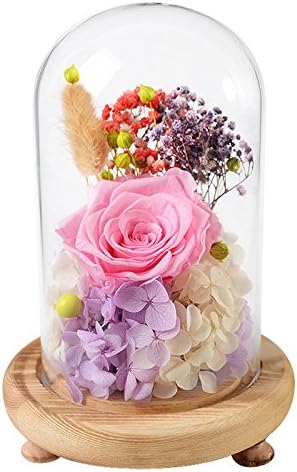 FORUSKY Beauty And The Beast Preserved Fresh Flower Glass Immortal Rose Flower Gift for Mother's Day Lover Birthday, Valentines Gifts,Wedding Pink