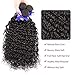 Water Wave Human Hair 3 Bundles 12 14 16 Inch 100% Unprocessed Human Hair Extensions For Women 100g/bundles 8A Brazilian Wet and Wavy Water Curly Human Hair Bundles Natural Black Color shuangya Hair